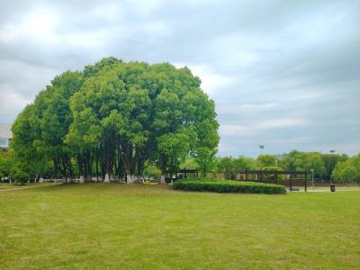 西安交通大学苏州研究院（国际本硕连读项目）