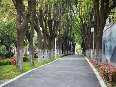 苏州阿德科特学校