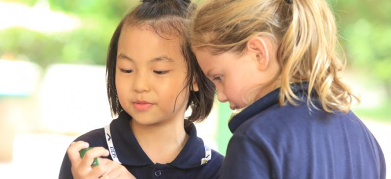 深圳曦城协同国际学校2023年招生办