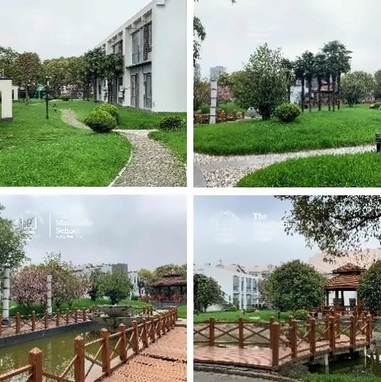 上海美达菲校园环境.jpg