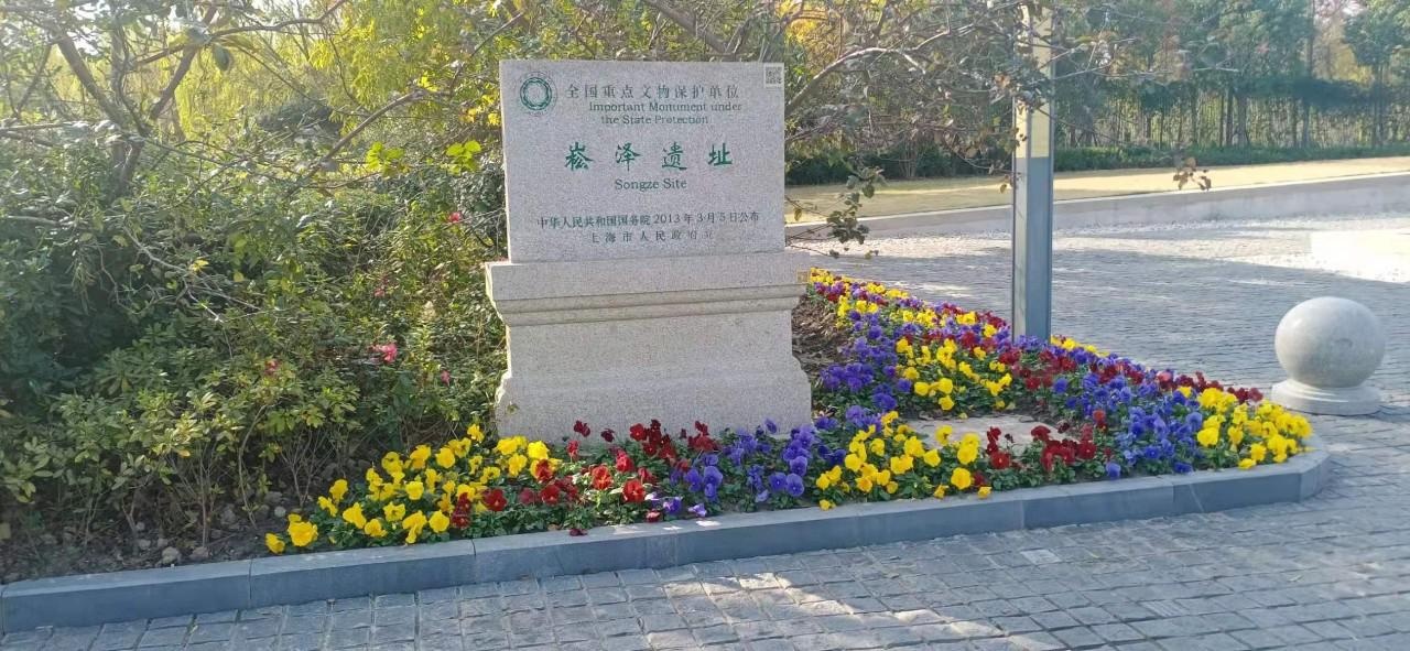 上海崧泽遗址博物馆.jpg