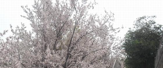 保康职教中心学校