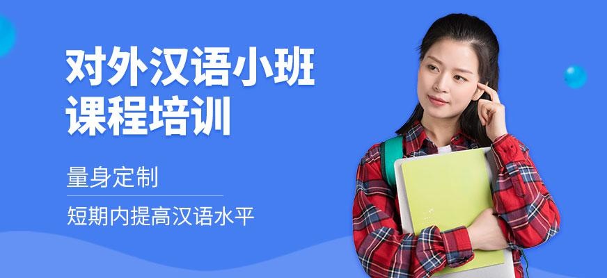 对外汉语小班课程