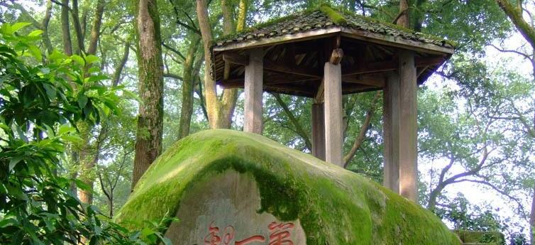 截图_20211118210935