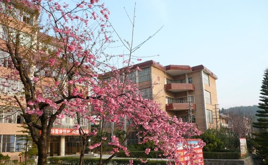 保山市中等专业学校有哪些专业