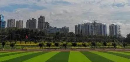 重庆应用技术职业学院