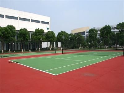 泰莱国际高中