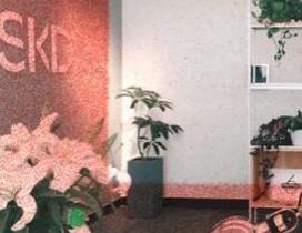 上海SKD国际艺术教育