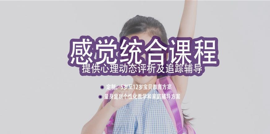 感觉统合训练课程