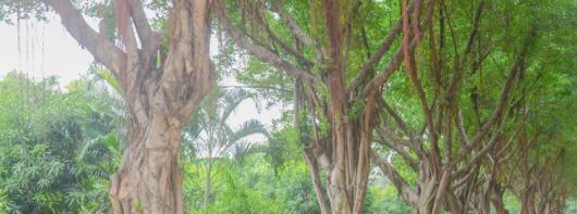 广州电子商务技工学校2020年宿舍条件