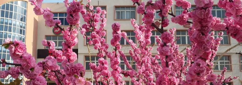 唐山市丰润区第二中学2023年怎么样、好不好