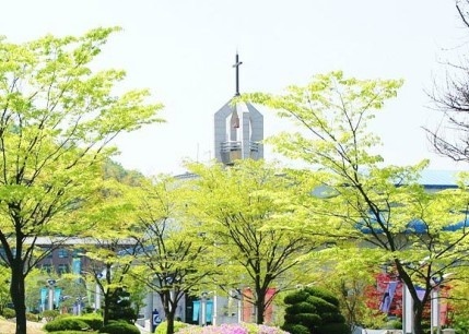 白石文化大学