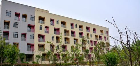 河南师大附中双语国际学校小学部地址在哪里