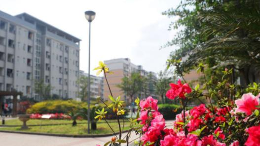 重庆市交通高级技工学校