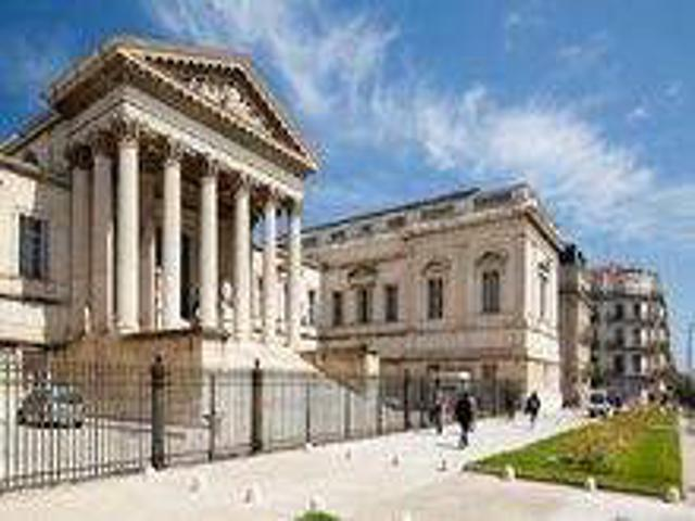 校园风采（三）