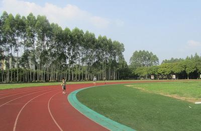跑道
