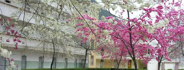 截图_20220111102215