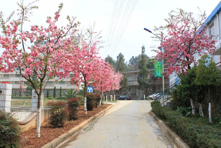 云南省林业高级技工学校招生办