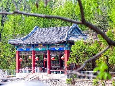 橘郡国际（北京校区）