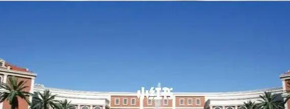 2023年青岛墨尔文中学招生政策
