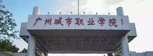 城市13