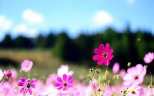 怎么为孩子做好榜样