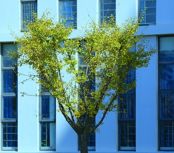 合肥科技职业学院单招简章