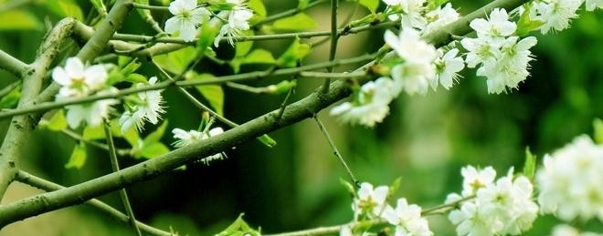 2345截图20181122091711