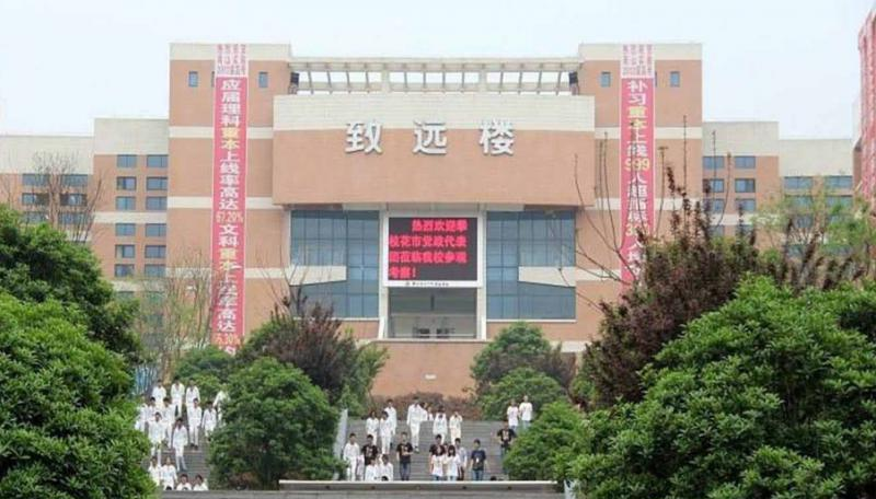绵11
