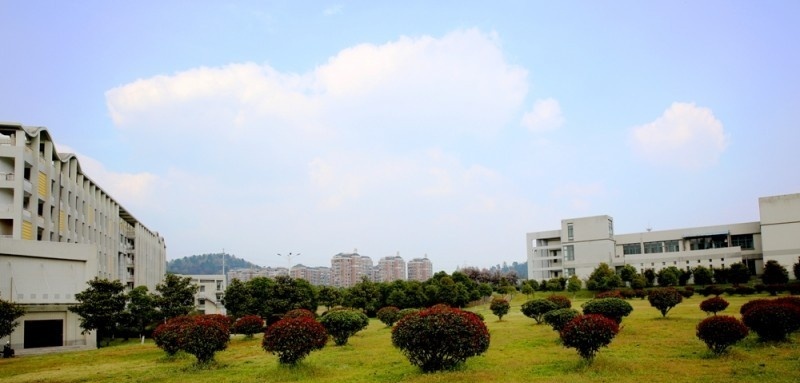 马鞍山职业技术学院2019年单招录取分数线