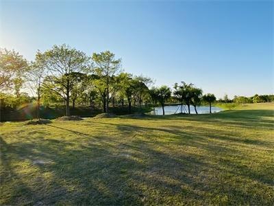 剑桥文理与剑桥艺术学校