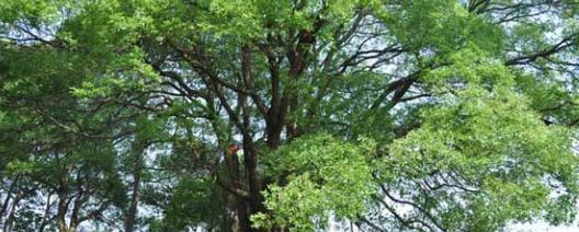 江西青年职业学院2020年招生办