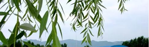 北京科迪实验中学高中部2023年入学考试