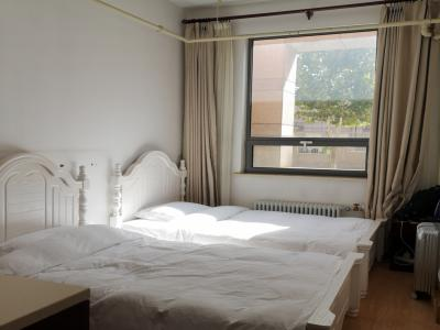 中国科学院大学培训中心剑桥国际课程中心A-Level项目