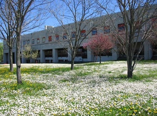 帕尔马大学