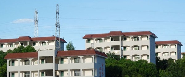 四川幼儿师范高等专科学校单招