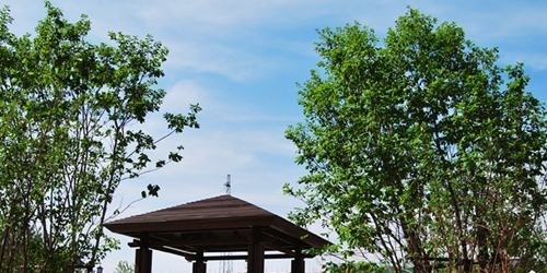 灵山职业技术学校