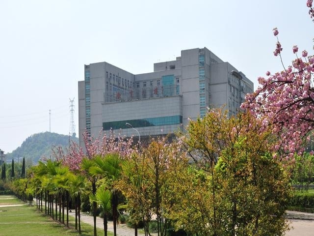 校园春景