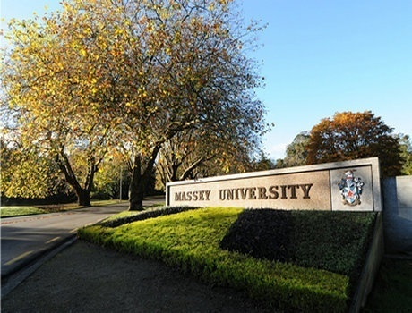 梅西大学