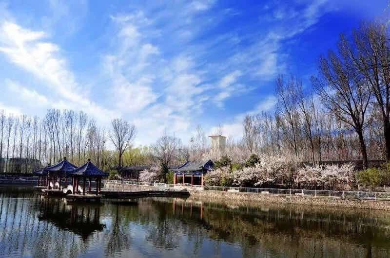 橘郡国际学校（北京校区）