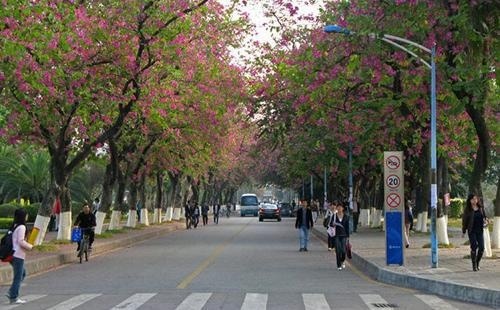 华师大华科高中国际部