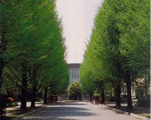 御茶水女子大学