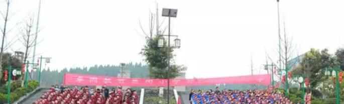 遂宁卓同国际学校小学部地址在哪里