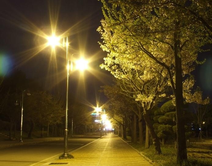 群山大学