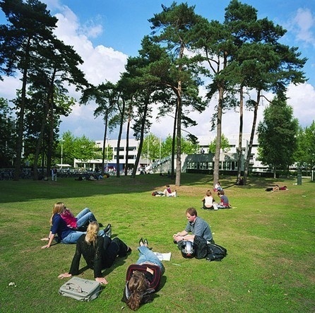 蒂尔堡大学