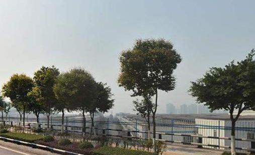 重庆华阳技工学校