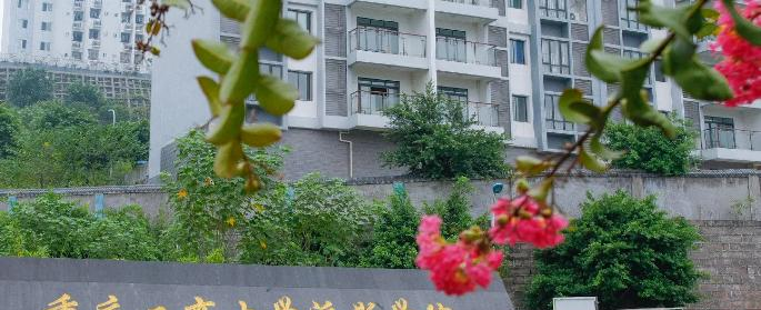 重庆工商大学派斯学院是211还是985(重庆工商大学派斯学院)