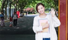 分阶学习 
