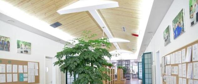 北京私立树人瑞贝学校小学部2023年入学条件
