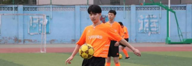 石家庄康福外国语学校初中部地址在哪里